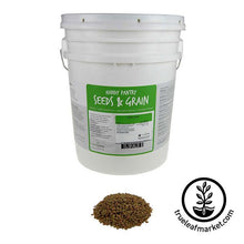 Load image into Gallery viewer, Green Lentils (organic) - Bulk Grains & Foods