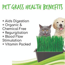 Load image into Gallery viewer, Cat Grass Seeds - Wheatgrass (Organic)