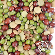 Load image into Gallery viewer, Bean Salad - Sprouting Mix (organic) - Sprouting Seeds