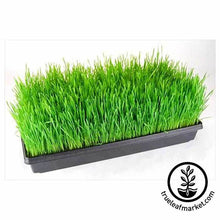 Load image into Gallery viewer, Deluxe Kit + Juicer (Wheatgrass Barleygrass and Sunflower)