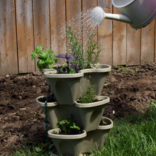 Load image into Gallery viewer, Garden Stacker Planter & Culinary Herb Kit