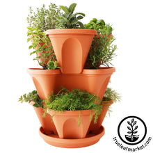 Load image into Gallery viewer, Garden Stacker Planter & Culinary Herb Kit
