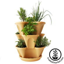 Load image into Gallery viewer, Garden Stacker Planter & Tea, Medicinal Herb Kit
