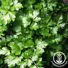 Load image into Gallery viewer, Easy & Delicious Bilingual Herb Seed Collection