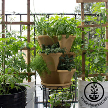 Load image into Gallery viewer, Garden Stacker Planter &amp; Culinary Herb Kit
